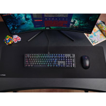 Žaidimų Klaviatūra - Trust GXT 866 TORIX USB QWERTY JAV Tarptautinė Juoda