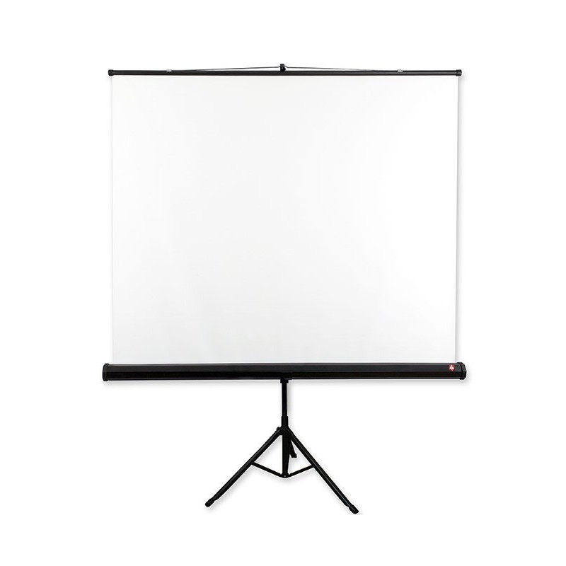 Projector Screen - Avtek 175 1:1