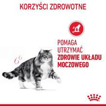Sausas Kačių Maistas - Royal Canin Šlapimo Takų Priežiūra 4 Kg