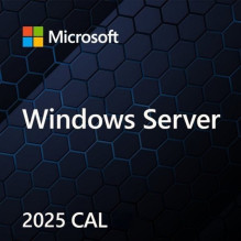 Programinės Įrangos Licencija - Microsoft Windows Server CAL 2022 Kliento Prieigos Licencija 1 Licencija
