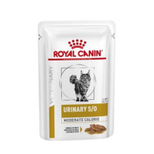 Wet Cat Food - ROYAL CANIN Urinary S / O Moderate Calorie 12 x 85g Fish Flavor