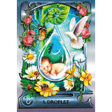 Oracle Cards - Water Alchemy Oracle 40 Cards 144 Pages Guide 12.7x17.1x3.8 cm