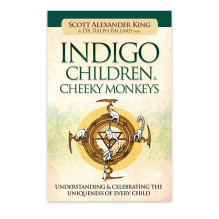 Book - Blue Angel Indigo Children and Mischievous Monkeys Understanding Unique Traits