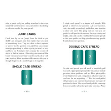 Card Set - Earth and Bone Oracle 42 Cards with Instruction Booklet 9x12.8x3.2 cm