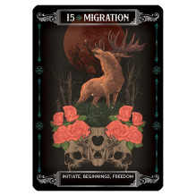 Card Set - Earth and Bone Oracle 42 Cards with Instruction Booklet 9x12.8x3.2 cm