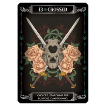 Card Set - Earth and Bone Oracle 42 Cards with Instruction Booklet 9x12.8x3.2 cm