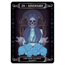 Card Set - Earth and Bone Oracle 42 Cards with Instruction Booklet 9x12.8x3.2 cm