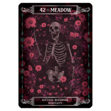 Card Set - Earth and Bone Oracle 42 Cards with Instruction Booklet 9x12.8x3.2 cm