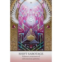 Oracle Card Deck - The Light Code Apothecary Cards Blue Angel 70 Cards 336 Page Guide