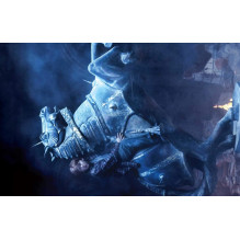 Kolekcinė Atvirukų Rinkinys - Harry Potter 100 Unikalių Atvirukų Tvirta Dėžutė