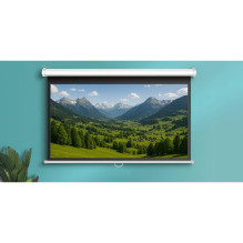 Projector Screen - Camrock Matte W 100 100' 16:9 Manual Retractable
