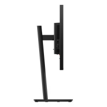 Monitorius - Lenovo ThinkVision T24-40 23.8" Full HD IPS 1920x1080 Juodas