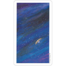 AGM Vision Quest Taro Kortos