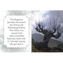 Knyga - Insight Editions Harry Potter: Hogvartsas 192 Puslapiai 4.3 x 5.4 cm