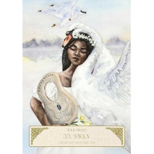 Oracle Card Set - Fairy Tale Oracle 44 Cards With Instruction Booklet