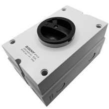 Electrical Switch - AC Isolator 4P 63A 230-440V IP65 Locked Handle