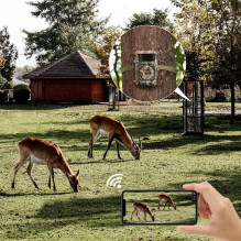 Kameros - K&amp;F Concept KF35.127 4K 32MP Bluetooth Naktinis Matymas IP66