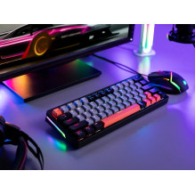 Gaming Keyboard - Tracer GAMEZONE EVO1 Mechanical RGB Wired Hot Swap 63 Gray