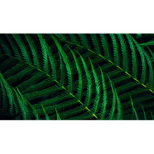 Monitorius - Philips 24B2G5200 24" Mirgėjimo neturintis HDMI ekranas Reguliuojamas Juodas