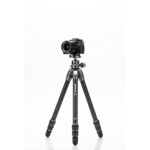 Tripod - Benro Tortoise 24C Carbon Fiber Lightweight Tripod