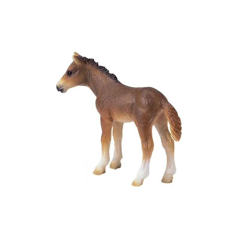 Kolekcinė figūrėlė - Schleich Holstein Foal Rankomis dažyta PVC vaikščiojimo poza