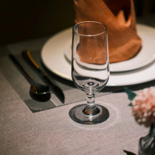 Camera - Meike 55mm f/1.4 AF lens (Sony E, 11 elements, 0.61m focus)