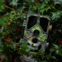 Kameros - Caruba Wildcamera Toad Full HD 24MP Night Vision WiFi Black