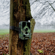 Kameros - Caruba Wildcamera Toad Full HD 24MP Night Vision WiFi Black