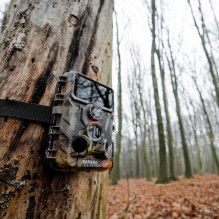 Kameros - Caruba Wildcamera Moose 4K 48MP 4K Video WiFi Bluetooth