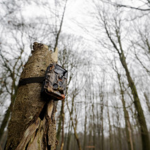 Cameras - Caruba Wildcamera Moose 4K 48MP 4K Video WiFi Bluetooth