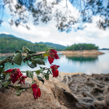 Camera - Laowa 10mm f / 4 Cookie L Mount APS-C 109.3° 37mm Filter Silver
