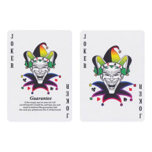 Playing Cards - Bicycle Spectrum Deck 54 Cards Standard Index