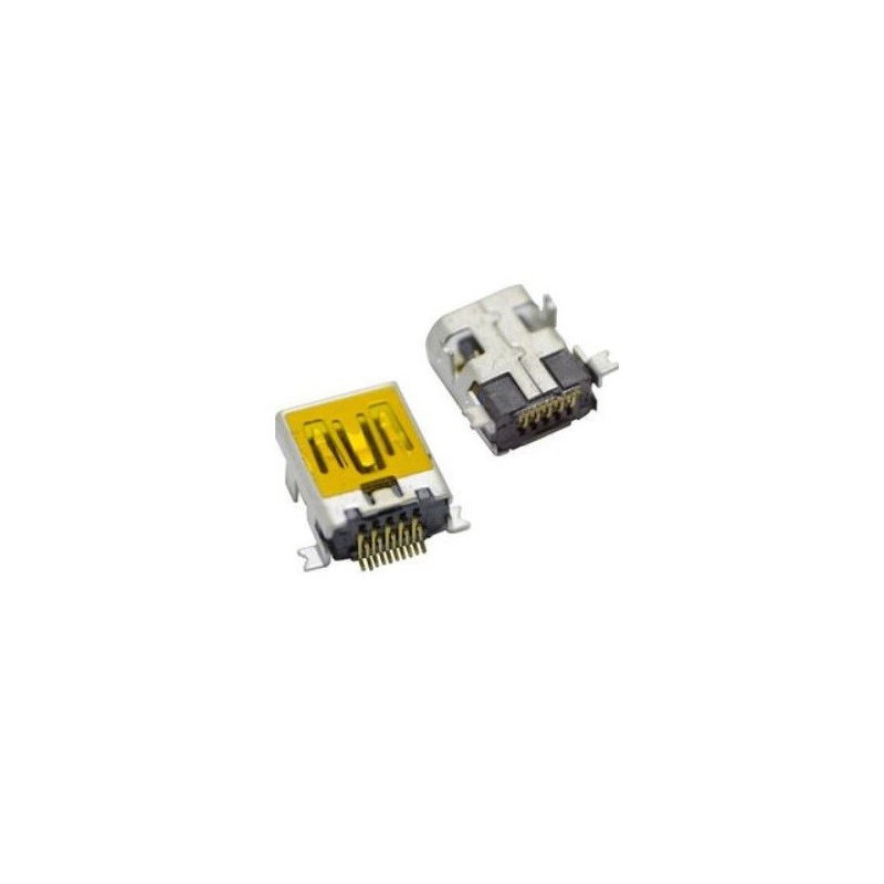 Įkrovimo kontaktas universalus Mini USB (10pin, long)