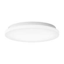 „Yeelight MercuryE C260“...