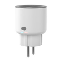„Sonoff S60ZBTPF ZigBee“ išmanusis lizdas