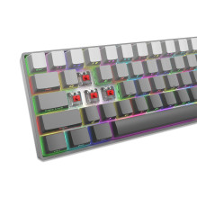 White Shark GK-007711 Nunchaku Grey / Red US