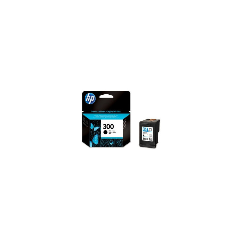 OEM kasetė HP No.300 Black (CC640EE)