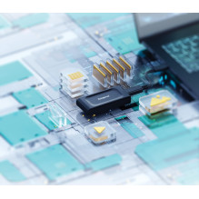 External SSD, KINGSTON, Read speed 1050 MB / s, Write speed 1000 MB / s, 1000 GB, SXS1000 / 1000G