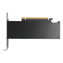 Grafikos plokštė - PNY RTX PRO 2000 16GB GDDR7 4352 CUDA Juoda