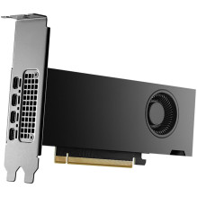PNY NVIDIA 2000 Ada 16GB LowProfile OEM Version PCI-Express x16 Gen 4.0, Dual Slot, 16 GB GDDR6 ECC 128-bit,HDCP 2.2 and