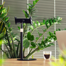 Wozinsky Tablet and Phone Desk Stand Black (WTHBK4)
