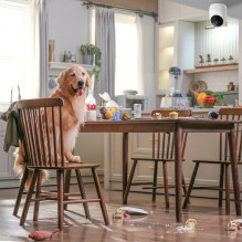 „Dreame Navo Care SE 1 Incam“ vidaus kamera – balta