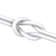 Joyroom JR-EC06 USB-C į ausis įdedamos ausinės – sidabrinės