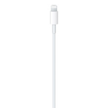 „Apple“ USB-C–Lightning laidas (1 m)