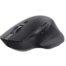 Computer mouse Trust Ozaa+ Black