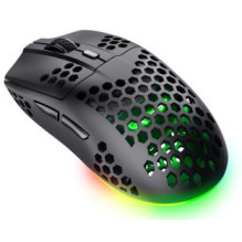 Computer mouse Trust GXT929...