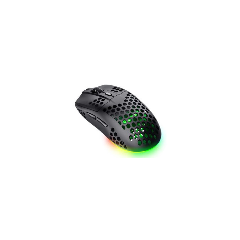 Kompiuterinė pelė Trust GXT929 Helox WRL juoda, šviesiai pilka