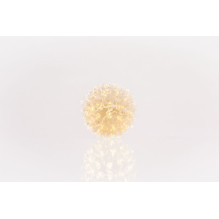 iLike N / A Bumba ar puķēm RS-208 50LED D-11cm Šiltai balta