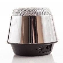 Evelatus - Bluetooth Speaker ESP01 Silver Evelatus - Bluetooth Speaker ESP01 Silver