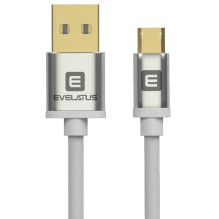 Evelatus Universal Data...